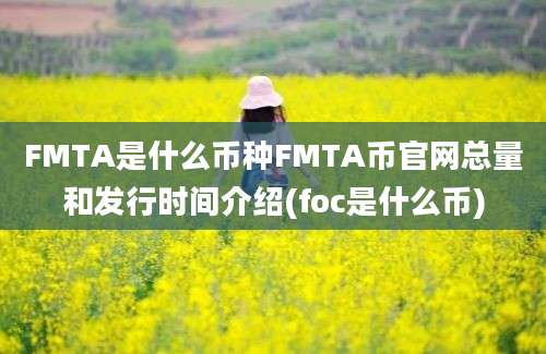 FMTA是什么币种FMTA币官网总量和发行时间介绍(foc是什么币)