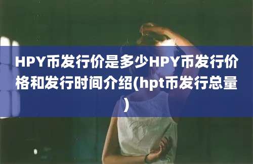 HPY币发行价是多少HPY币发行价格和发行时间介绍(hpt币发行总量)