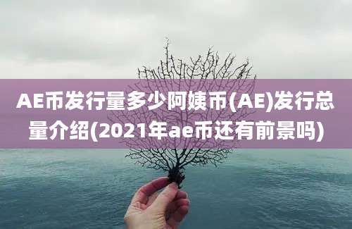 AE币发行量多少阿姨币(AE)发行总量介绍(2021年ae币还有前景吗)