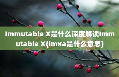 Immutable X是什么深度解读Immutable X(imxa是什么意思)