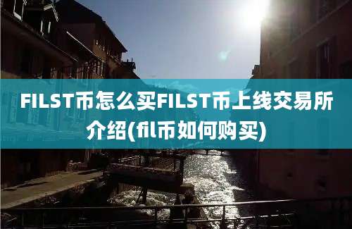 FILST币怎么买FILST币上线交易所介绍(fil币如何购买)