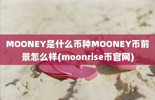 MOONEY是什么币种MOONEY币前景怎么样(moonrise币官网)