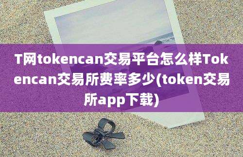 T网tokencan交易平台怎么样Tokencan交易所费率多少(token交易所app下载)