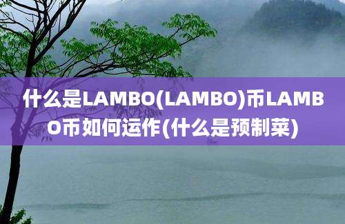 什么是LAMBO(LAMBO)币LAMBO币如何运作(什么是预制菜)