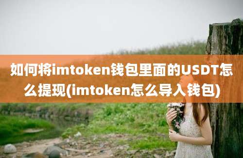 如何将imtoken钱包里面的USDT怎么提现(imtoken怎么导入钱包)