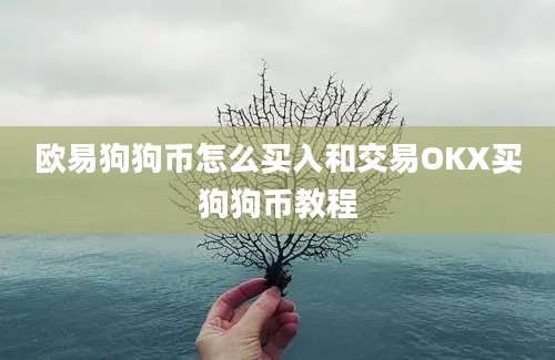 欧易狗狗币怎么买入和交易OKX买狗狗币教程