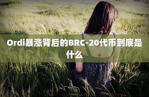 Ordi暴涨背后的BRC-20代币到底是什么