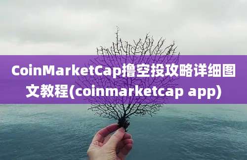 CoinMarketCap撸空投攻略详细图文教程(coinmarketcap app)