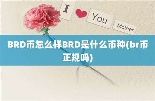 BRD币怎么样BRD是什么币种(br币正规吗)