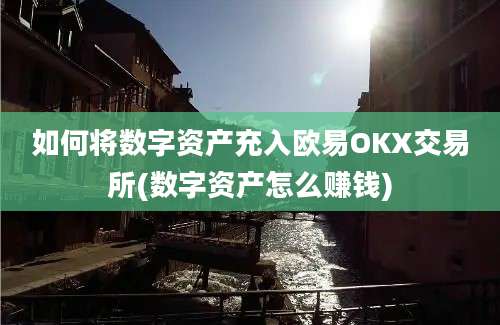 如何将数字资产充入欧易OKX交易所(数字资产怎么赚钱)