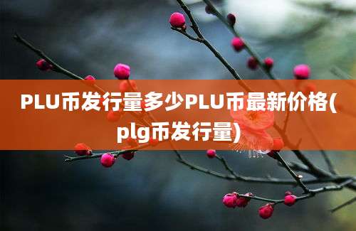 PLU币发行量多少PLU币最新价格(plg币发行量)