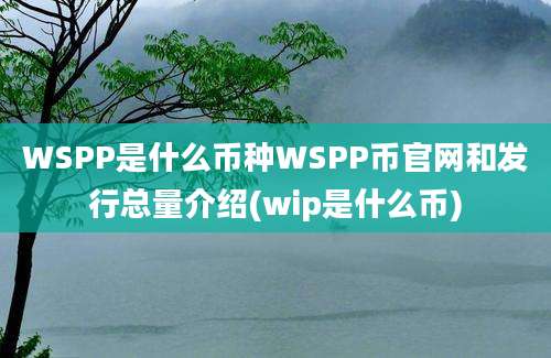 WSPP是什么币种WSPP币官网和发行总量介绍(wip是什么币)