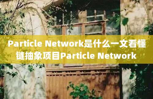 Particle Network是什么一文看懂链抽象项目Particle Network