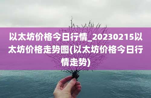 以太坊价格今日行情_20230215以太坊价格走势图(以太坊价格今日行情走势)