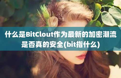 什么是BitClout作为最新的加密潮流是否真的安全(bit指什么)