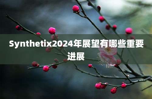 Synthetix2024年展望有哪些重要进展