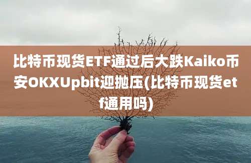 比特币现货ETF通过后大跌Kaiko币安OKXUpbit迎抛压(比特币现货etf通用吗)