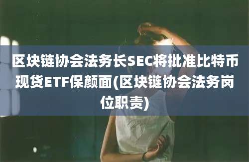 区块链协会法务长SEC将批准比特币现货ETF保颜面(区块链协会法务岗位职责)