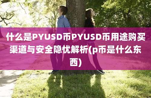 什么是PYUSD币PYUSD币用途购买渠道与安全隐忧解析(p币是什么东西)