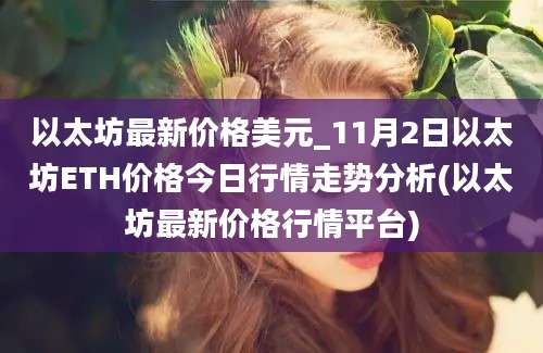 以太坊最新价格美元_11月2日以太坊ETH价格今日行情走势分析(以太坊最新价格行情平台)