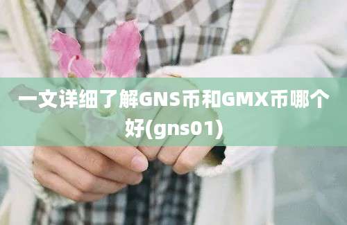 一文详细了解GNS币和GMX币哪个好(gns01)