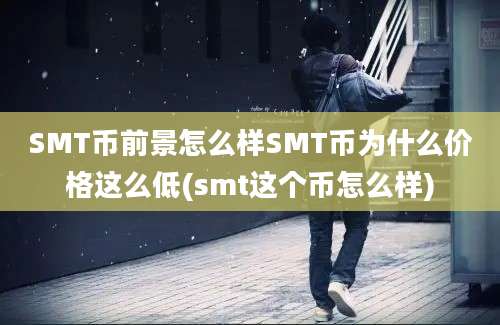 SMT币前景怎么样SMT币为什么价格这么低(smt这个币怎么样)