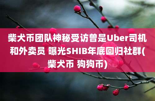 柴犬币团队神秘受访曾是Uber司机和外卖员 曝光SHIB年底回归社群(柴犬币 狗狗币)