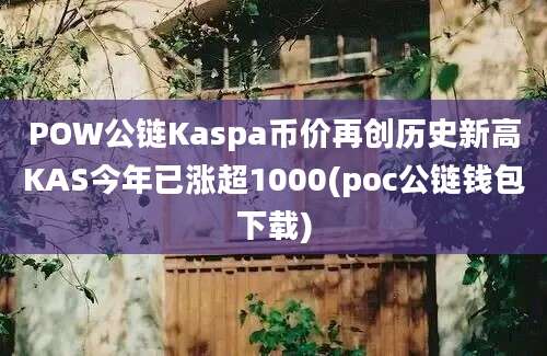 POW公链Kaspa币价再创历史新高KAS今年已涨超1000(poc公链钱包下载)