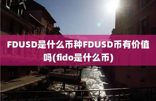 FDUSD是什么币种FDUSD币有价值吗(fido是什么币)