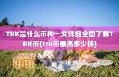 TRK是什么币种一文详细全面了解TRK币(trk币最高多少钱)