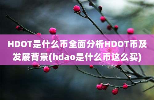 HDOT是什么币全面分析HDOT币及发展背景(hdao是什么币这么买)