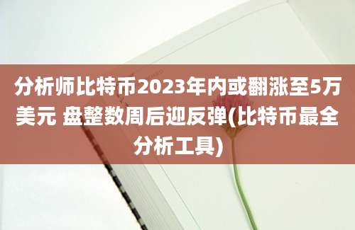 分析师比特币2023年内或翻涨至5万美元 盘整数周后迎反弹(比特币最全分析工具)