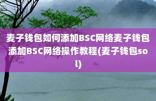 麦子钱包如何添加BSC网络麦子钱包添加BSC网络操作教程(麦子钱包sol)