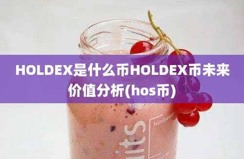 HOLDEX是什么币HOLDEX币未来价值分析(hos币)