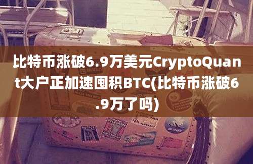 比特币涨破6.9万美元CryptoQuant大户正加速囤积BTC(比特币涨破6.9万了吗)