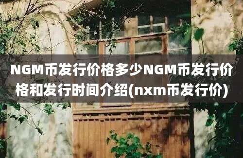 NGM币发行价格多少NGM币发行价格和发行时间介绍(nxm币发行价)