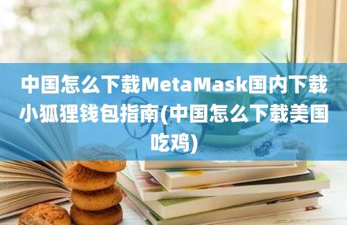 中国怎么下载MetaMask国内下载小狐狸钱包指南(中国怎么下载美国吃鸡)