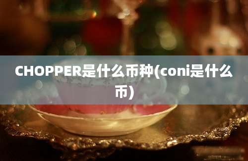 CHOPPER是什么币种(coni是什么币)