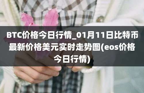 BTC价格今日行情_01月11日比特币最新价格美元实时走势图(eos价格今日行情)