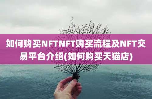 如何购买NFTNFT购买流程及NFT交易平台介绍(如何购买天猫店)