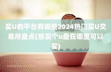 买U的平台有哪些2024热门买U交易所盘点(想买个u盘在哪里可以买)