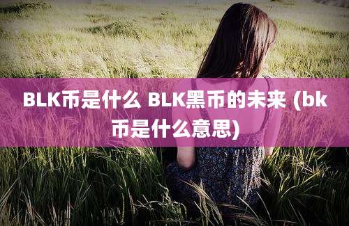 BLK币是什么 BLK黑币的未来 (bk币是什么意思)