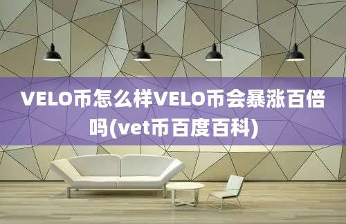 VELO币怎么样VELO币会暴涨百倍吗(vet币百度百科)