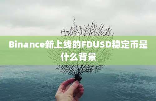 Binance新上线的FDUSD稳定币是什么背景