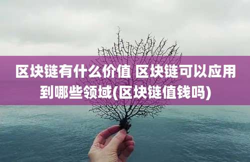 区块链有什么价值 区块链可以应用到哪些领域(区块链值钱吗)