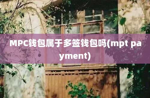 MPC钱包属于多签钱包吗(mpt payment)