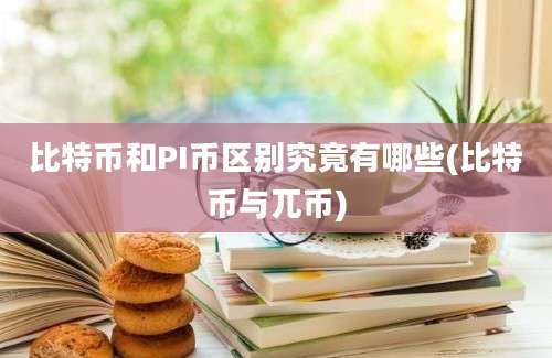 比特币和PI币区别究竟有哪些(比特币与兀币)