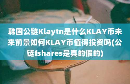 韩国公链Klaytn是什么KLAY币未来前景如何KLAY币值得投资吗(公链fshares是真的假的)