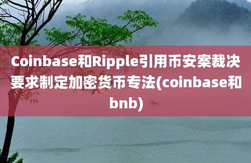 Coinbase和Ripple引用币安案裁决要求制定加密货币专法(coinbase和bnb)