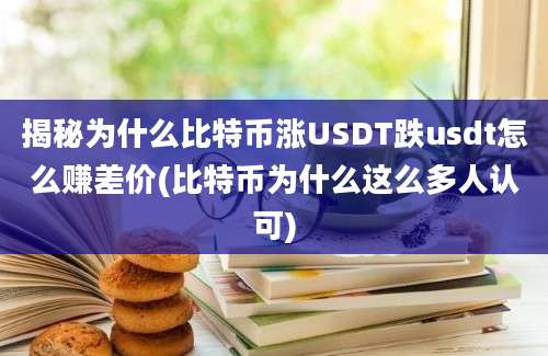 揭秘为什么比特币涨USDT跌usdt怎么赚差价(比特币为什么这么多人认可)